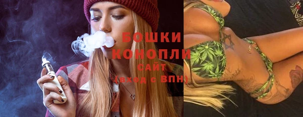 прущие грибы Каменск-Шахтинский