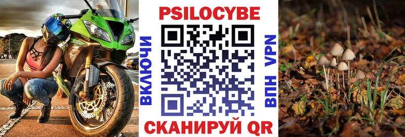 Псилоцибиновые грибы прущие грибы  купить наркотик  Вязники 
